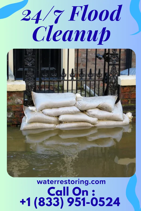 24/7 Flood Cleanup in Register, GA