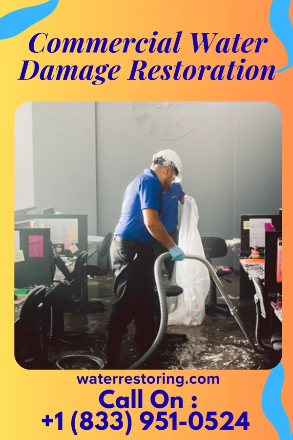 Commercial Water Damage Restoration in Register, GA