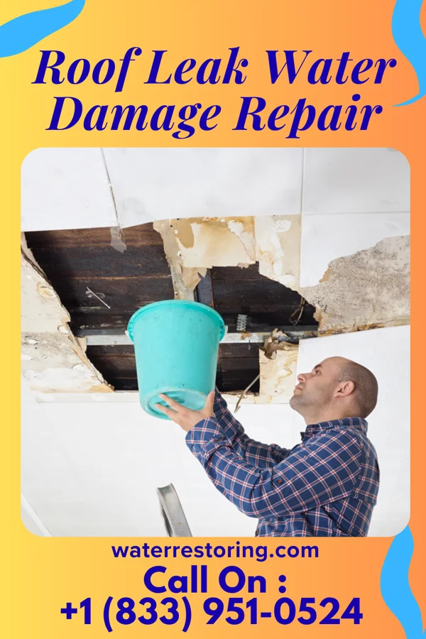 Roof Leak Water Damage Repair in Register, GA