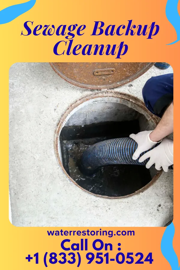 Sewage Backup Cleanup in Register, GA